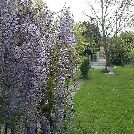 2 Lit140 Et 2lits 90 Dans Villa10mn Ligue De Foot 13mn Clinique L Union 18mn Golf Palmola Pensjonat