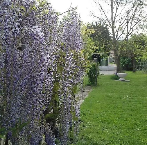 2 Lit140 Et 2lits 90 Dans Villa10mn Ligue De Foot 13mn Clinique L Union 18mn Golf Palmola בית הארחה